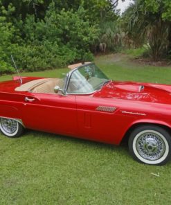 Red Ford Thunderbird Car Painting by numbers