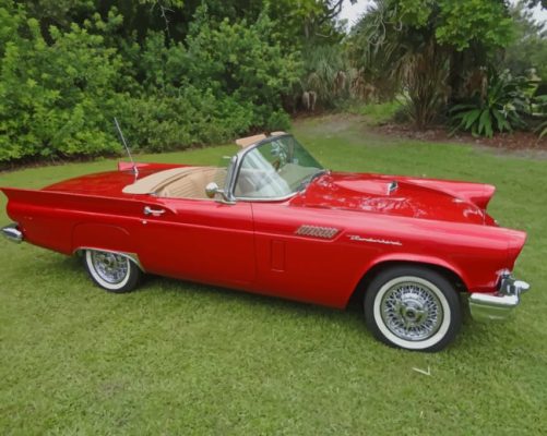 Red Ford Thunderbird Car Painting by numbers 