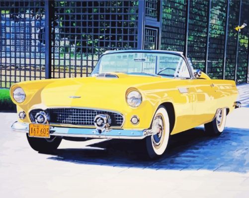 Thunderbird Ford Painting by numbers 
