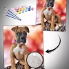 Custom Painting By Numbers​ Pets