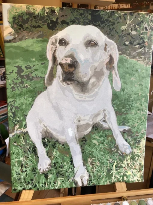 Custom Painting By Numbers​ Pets gall 11