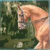 Custom Painting By Numbers​ Pets gall 12