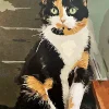 Custom Painting By Numbers​ Pets gall 13