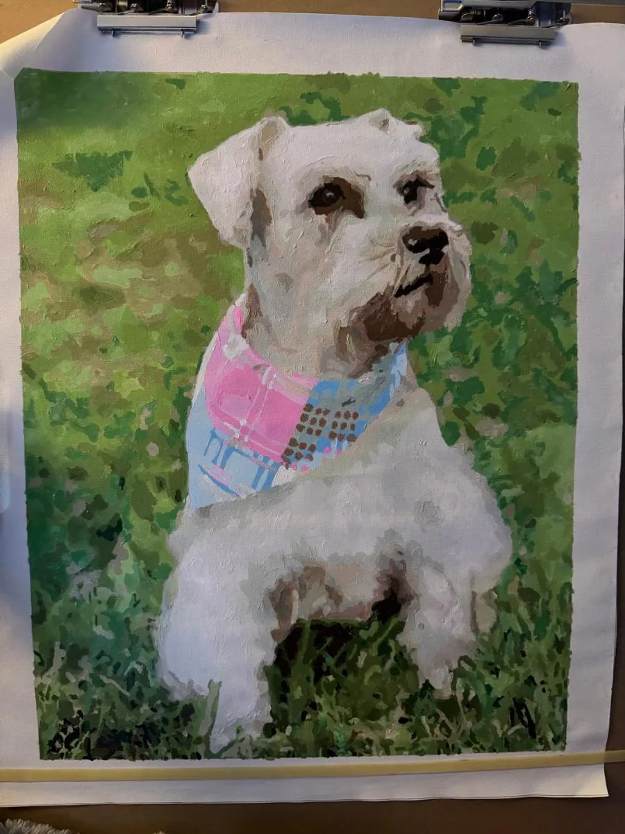 Custom Painting By Numbers​ Pets rev 1
