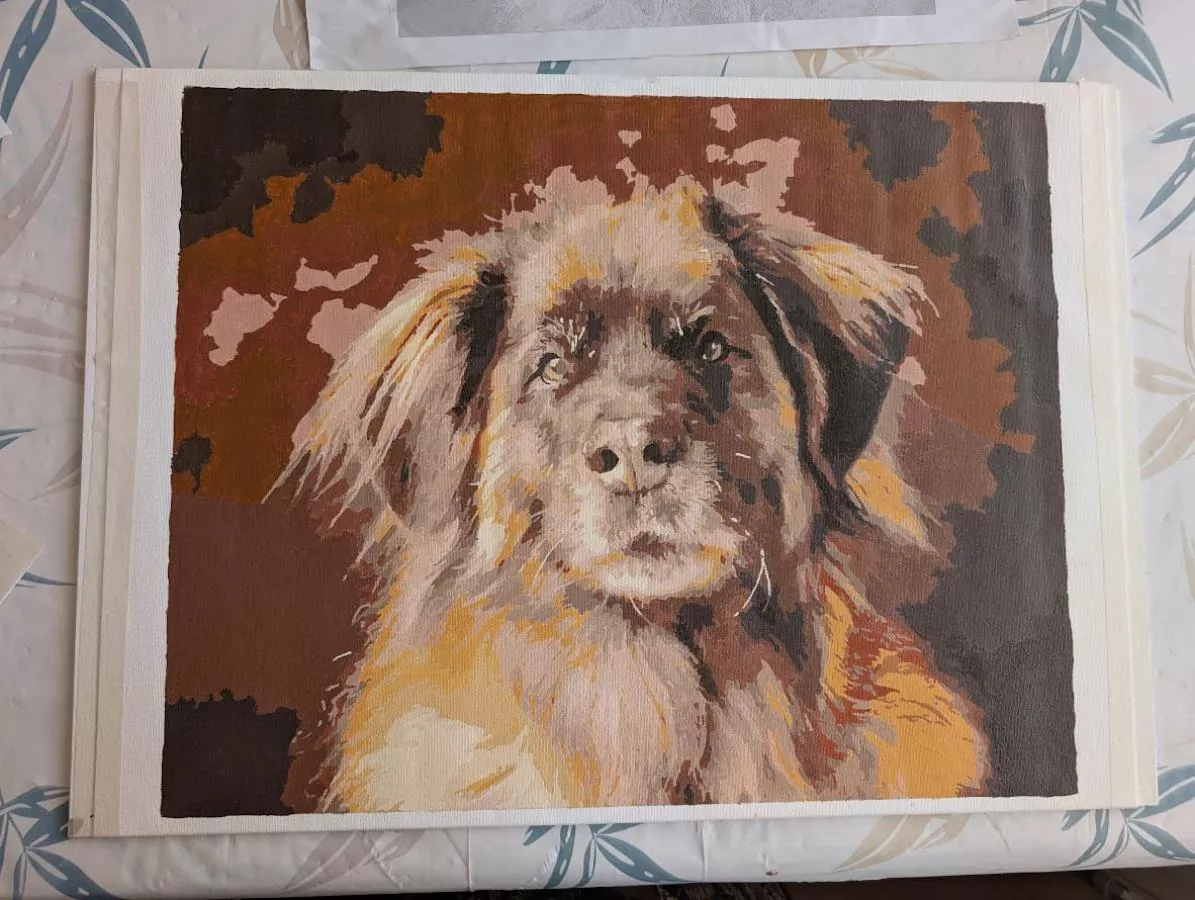 Custom Painting By Numbers​ Pets rev 2