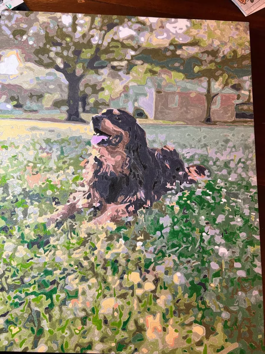 Custom Painting By Numbers​ Pets rev 3