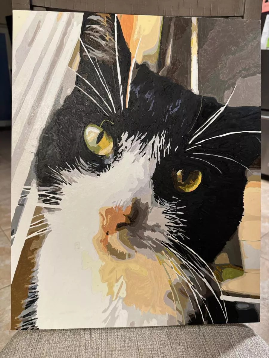 Custom Painting By Numbers​ Pets rev 4