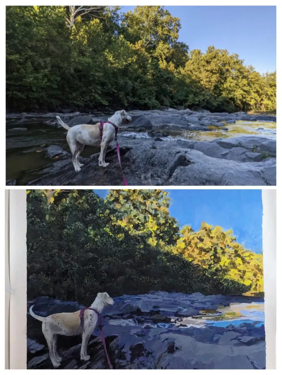 Custom Painting By Numbers​ Pets rev 6