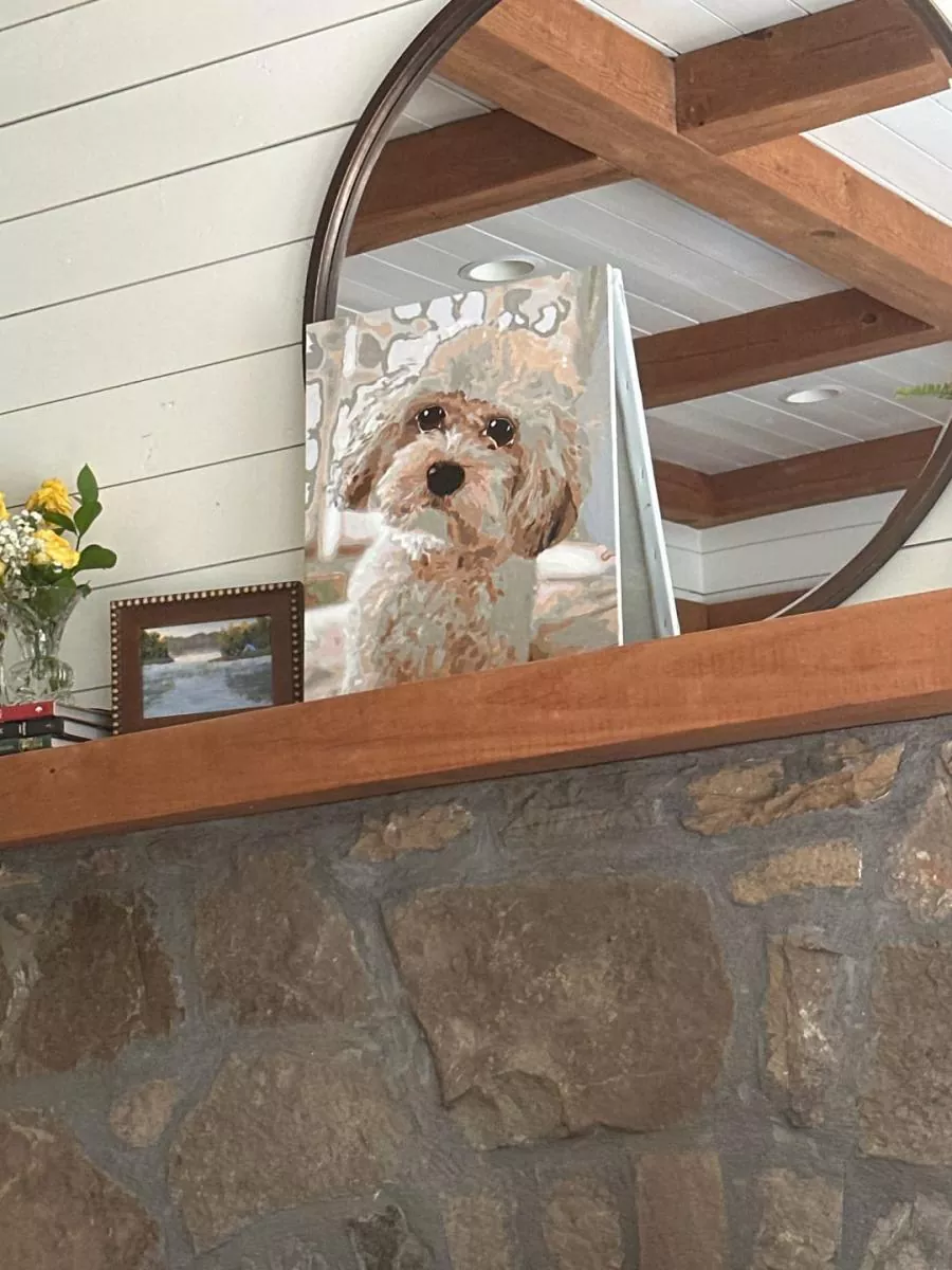 Custom Painting By Numbers​ Pets rev 7