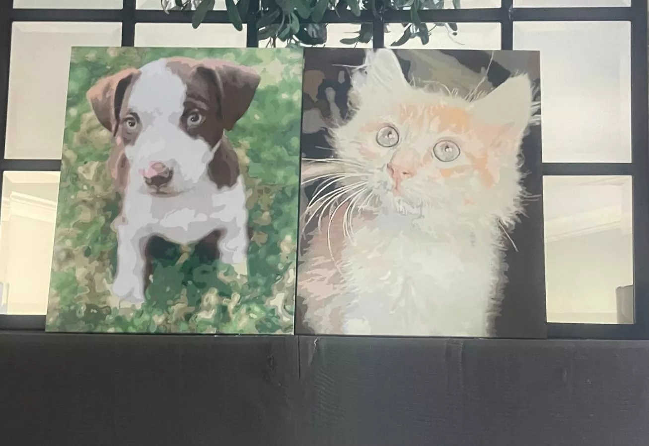 Custom Painting By Numbers​ Pets rev 8